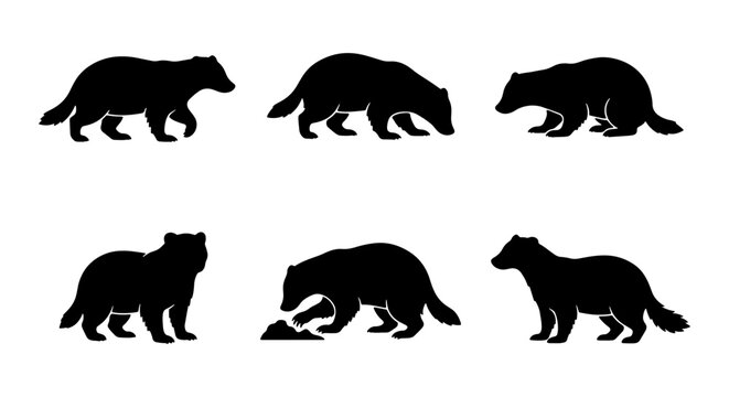 Wolverine Silhouettes Vector Set, Wild Animal Icons, Nature Wildlife Graphics, Black Mammal Poses