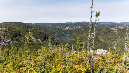 Obraz premium Alpine Lake in Forested Valley Viewed from Summit, Charlevoix, Quebec