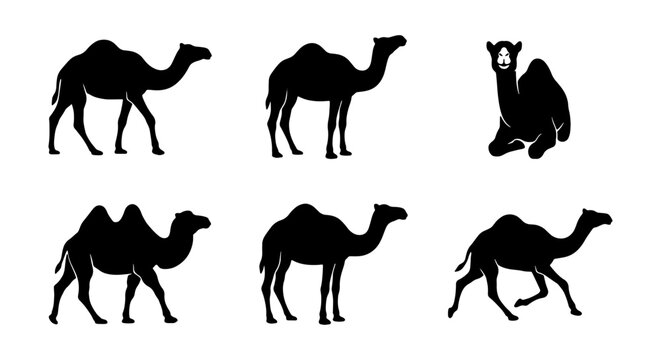 Camel Silhouettes Collection, Desert Animal Icons, Dromedary and Bactrian Vector Set, Wildlife Graphics