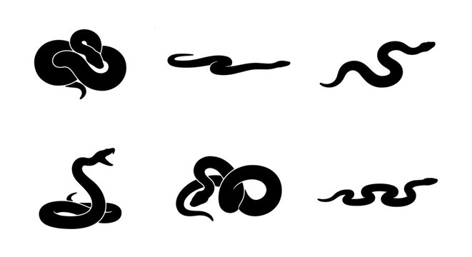 Black Snake Silhouettes Vector Icons, Reptile Graphic Elements, Wild Animal Set, Danger Symbol