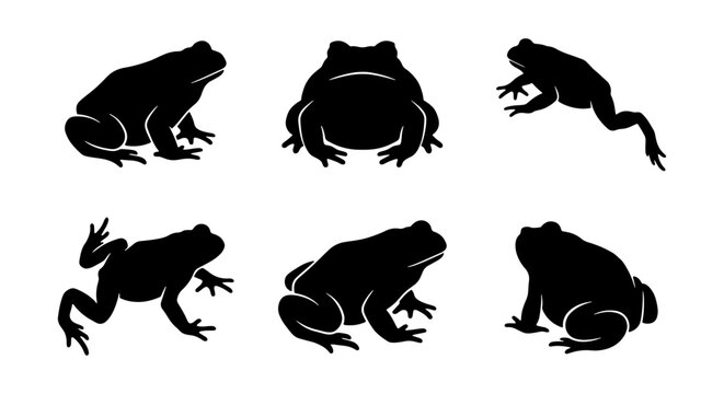 Frog Silhouettes Set, Amphibian Vector Icons, Pond Life Animal Graphics, Wildlife Collection