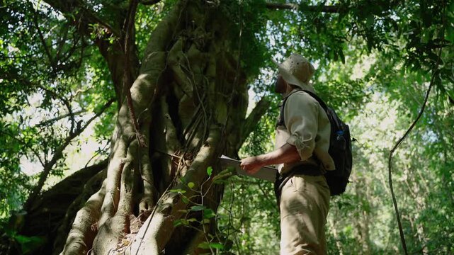 Environmental researcher standing beside a massive tree with exposed roots in a tropical forest. Biodiversity study, ecology, conservation science, and rainforest exploration concept.
