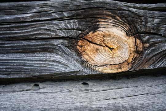 Close-up of an old rustic wooden log wall with detailed cracks, grain, and yellow amber knots. Natural vintage timber background.