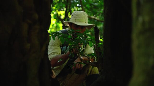 Close-up of an environmental researcher examining a plant specimen inside a tropical forest. Ecology, biodiversity monitoring, scientific observation, and conservation research concept.

