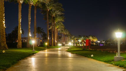 Naklejka premium Illuminated walking path with streetlights and palm trees at a tropical beach resort at night.