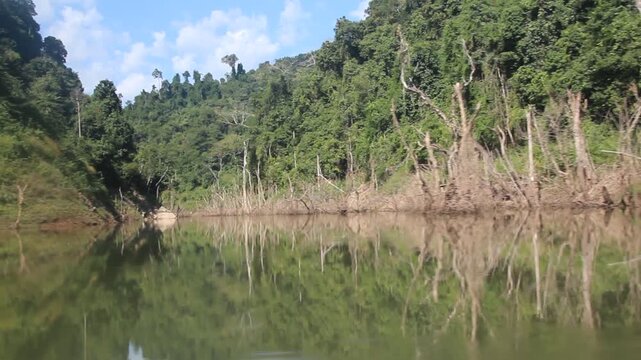 Dead trees due to increasing levels of Nam Ou river during Nam Ou 5 dam filling, Laos