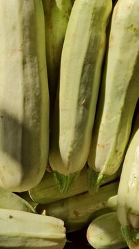 macro video of white zucchini stacked in a row with the evening sun shining on them