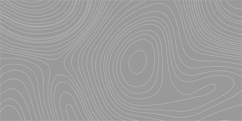 Gray topographic map background with abstract wavy lines. An abstract, minimalist gray background, a clean topographic map pattern with flowing, concentric wavy lines. © Creative Arts