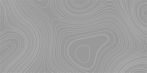 Gray topographic map background with abstract wavy lines. An abstract, minimalist gray background, a clean topographic map pattern with flowing, concentric wavy lines. © Creative Arts