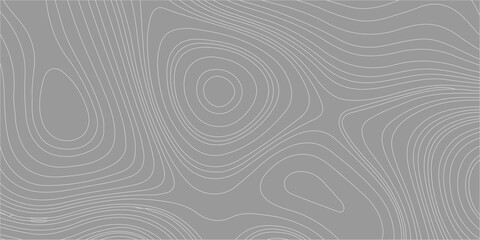 Gray topographic map background with abstract wavy lines. An abstract, minimalist gray background, a clean topographic map pattern with flowing, concentric wavy lines. © Creative Arts
