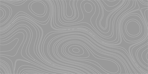 Gray topographic map background with abstract wavy lines. An abstract, minimalist gray background, a clean topographic map pattern with flowing, concentric wavy lines. © Creative Arts
