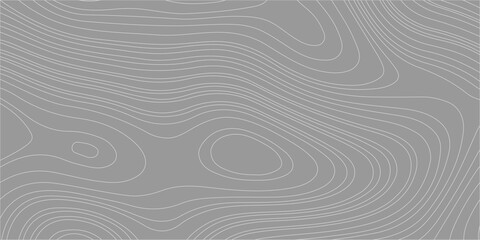 Gray topographic map background with abstract wavy lines. An abstract, minimalist gray background, a clean topographic map pattern with flowing, concentric wavy lines. © Creative Arts