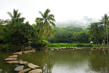 Rope bridge in the park. Beautiful view of the mountains. Yanoda Park, Hainan Island