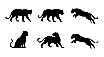 Black Panther Silhouettes, Wild Cat Poses Vector Set, Elegant Feline Animal Graphics Collection © Rubina