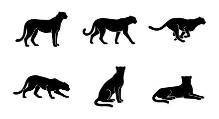 Black Panther Silhouettes Set, Wild Cat Poses Vector Collection, Big Cat Icons for Wildlife Design, African Predator Graphics © Abdul