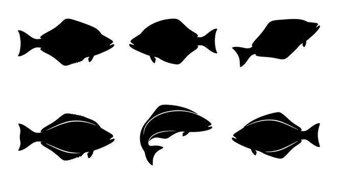 Flatfish Silhouette Icons, Seafood Vector Set, Marine Life Graphics, Ocean Animal Collection, Aquatic Species Illustrations
