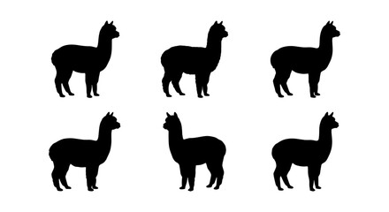 Six Black Alpaca Silhouettes, Cute South American Camelid Icons, Minimalist Farm Animal Vector Graphics © Nishat
