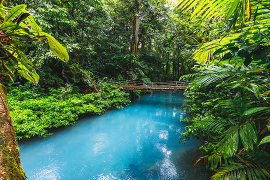 Bridge crossing blue Rio Celeste in Tenorio Volcano National Park