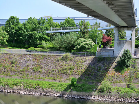 An elevated footbridge with glass railings 
curves through a lush green park-like setting 
above an industrial canal. The bridge 
provides a safe walkway between a large 
grey building and a heavily v