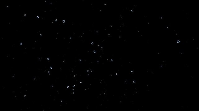 Abstract glossy soap bubble overlay animation, transparent liquid bubbles floating gently upward, rainbow glare highlights, isolated black background, seamless 4k loop