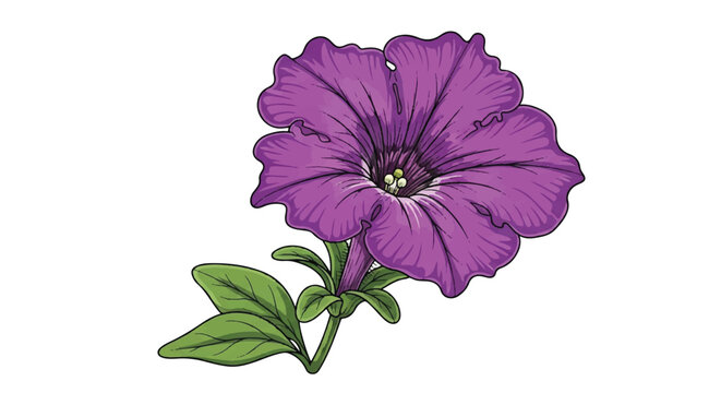 Purple petunia flower with green stem and leaves in close up isolation.