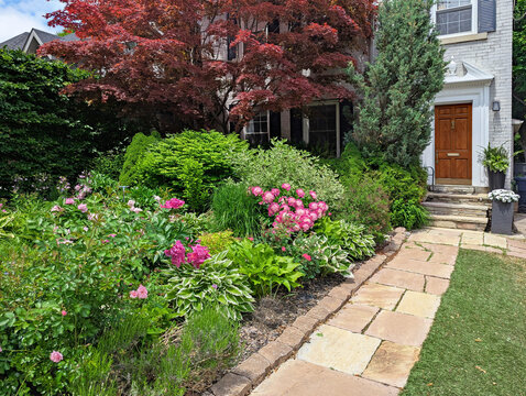 Front garden with multi-colored peony flowers