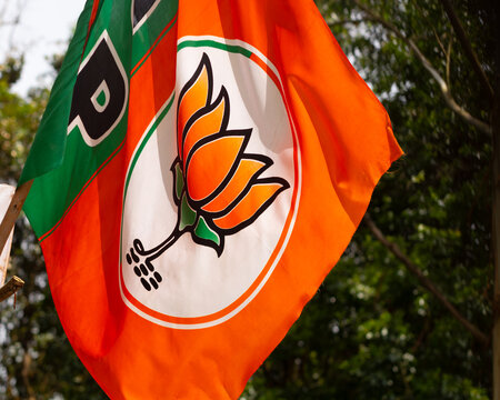 flag of the Bharatiya Janata Party (BJP), India's largest political party, featuring a lotus emblem on a saffron and green background