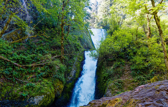Bridal Veil Falls with Historic Columbia River Highway Bridge in the Columbia River Gorge National Scenic Area