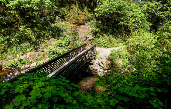 Trail Footbridge over Bridal Veil Creek at Bridal Veil Falls State Scenic Viewpoint