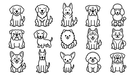 Obraz premium Collection of cute happy dog breeds