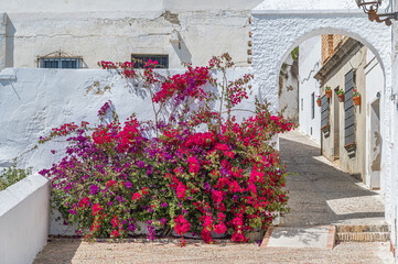 Archway and bougainvillea in old town of Arcos de la Frontera, Spain © vli86