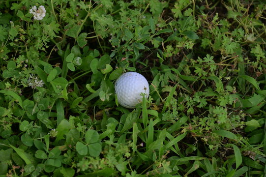 Golf Ball