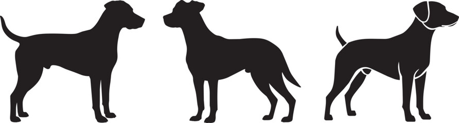 Fototapeta premium Three black dog silhouettes standing side by side