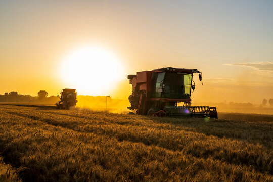 The combine is harvesting the wheat in the evening