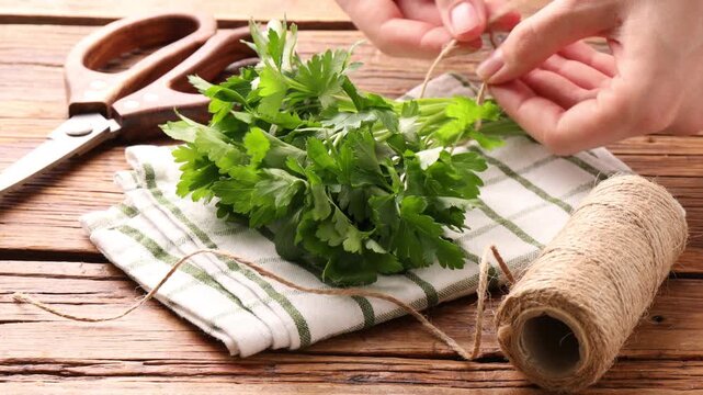 Woman tying bunch of fresh parsley with twine at wooden table, closeup