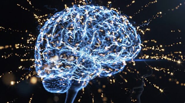 Digital Human Brain Anatomy with Futuristic Neural Connections