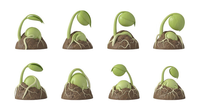 seedling sprouting in a time lapse series the life cycle of a plant on a white background educational or scientific content