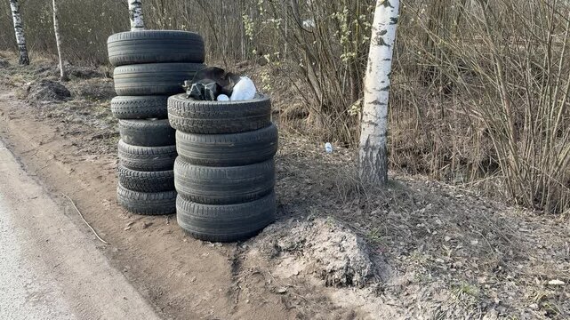 Stacked worn tires along roadside, abandoned passenger car tires piled against leafless hedgerow on spring day, gravel shoulder