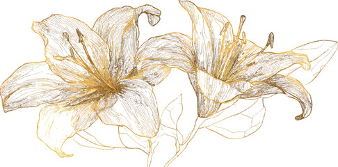A simple line drawing of an acorn and oak leaf, on a white background, with golden lines.  floral background with vector flower patterns and artistic swirls creating a light fractal texture © BLACK MAN