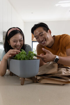 Diverse couple leaning over kitchen island inspecting raised herb planter with brown paper bag