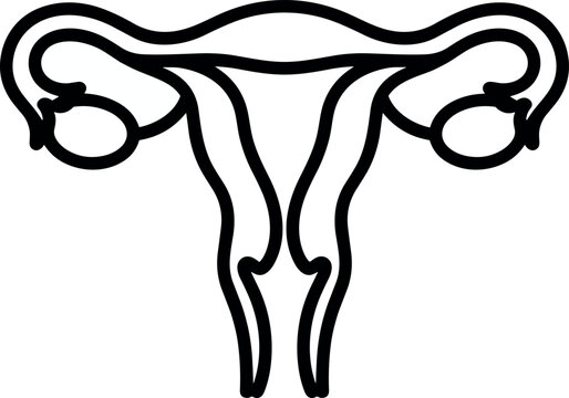 Bold Line Art Female Reproductive System Icon &mdash; Uterus Ovary Fallopian Tube Anatomy Medical Outline Illustration