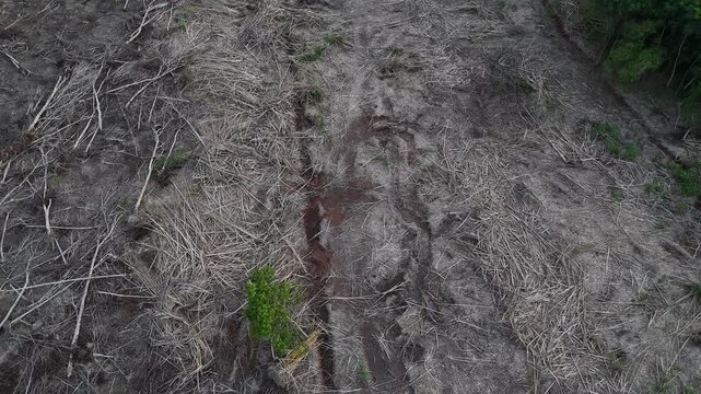 An aerial view showing deforestation and a landscape that has been completely cleared, with barren land and traces of logging.