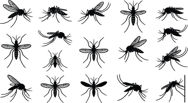 Mosquito silhouettes vector collection with insect pests black icons set isolated on white background for health warning and pest control graphic design