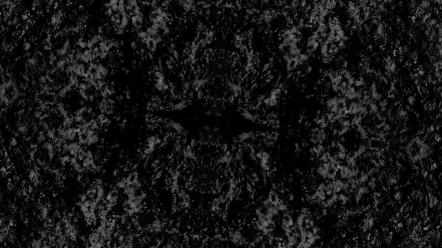 Dark abstract textured pattern with mirrored symmetry, mottled surfaces, and dense monochrome complexity.