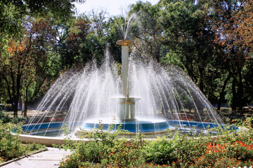 Fototapeta premium A decorative fountain sprays shimmering water high above colorful flowerbeds in a landscaped city park surrounded by mature trees. Bright summer sunlight, lush greenery, and carefully gardens