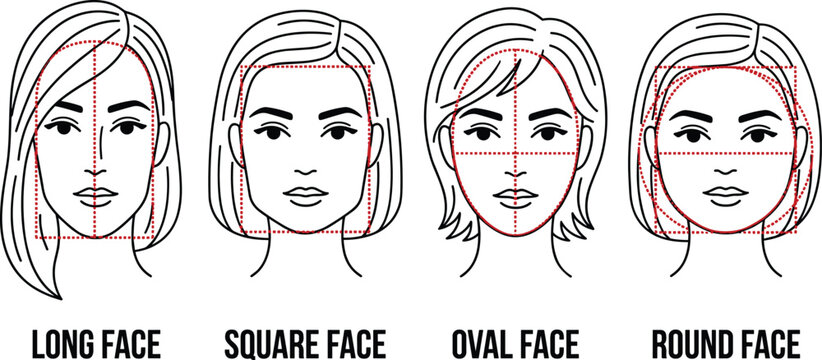 Female face shapes vector set featuring long square oval and round types with geometric guide lines for hair styling