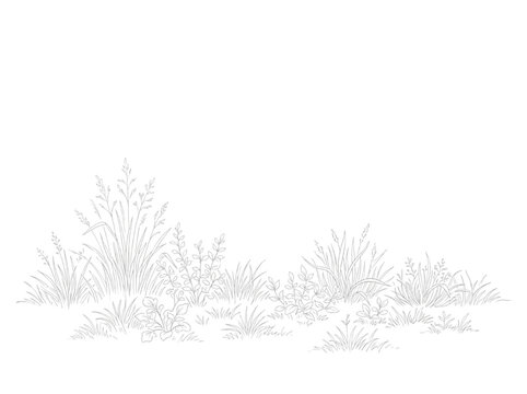 CAD drawing of various grasses and plants in a realistic landscape
