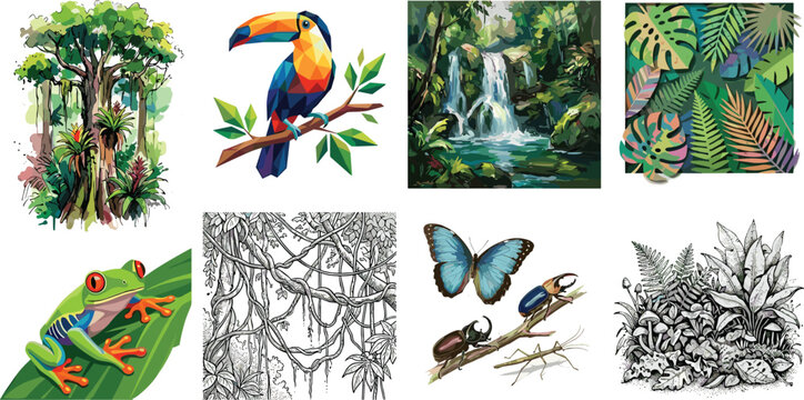 Tropical rainforest design elements set featuring exotic wildlife toucan tree frog insects waterfall and jungle foliage illustrations