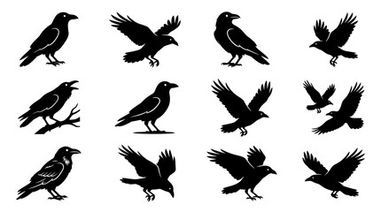 Naklejka premium Set of Silhouette Illustrations Featuring Crows and Ravens in Various Dynamic Posing and Flying Positions Isolated on a Clean White Background