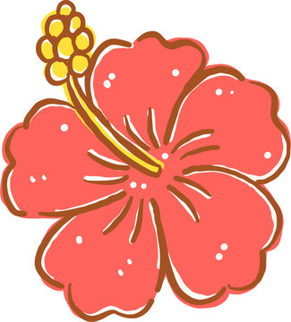 Summer Red Hibiscus Flower Illustration Cartoon Hand Drawn